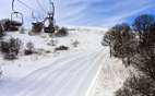 Ski Trails